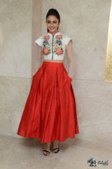 Rakul Preet Singh at Nannaku Prematho Movie Grand Success Meet